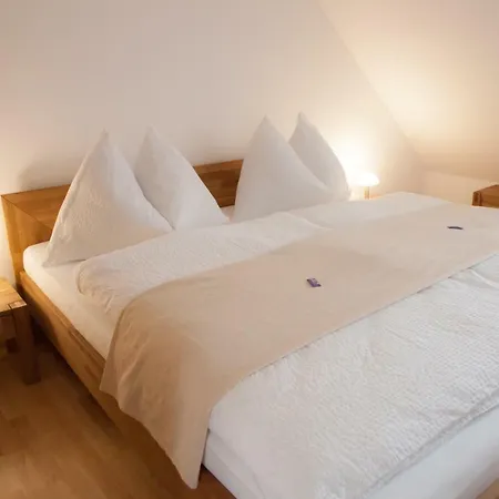 Appartementhaus Econto Lägenhet Baden